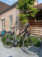 Damesfiets Koga, Fietsen en Brommers, Ophalen, 53 tot 56 cm, Zo goed als nieuw, Koga Miyata
