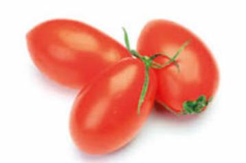 tomatenplantjes (roma-coeur de boeuf en trostomaten) beschikbaar voor biedingen