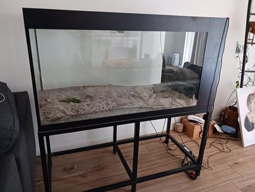 Groot aquarium + toebehoren, Dieren en Toebehoren, Vissen | Aquaria en Toebehoren, Gebruikt, Ophalen