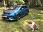 ELEKTR AUTO BYD DOLPHIN, Auto's, Automaat, 1730 kg, Monovolume, Blauw