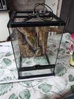 Terrarium, Ophalen, Gebruikt, Terrarium of Paludarium
