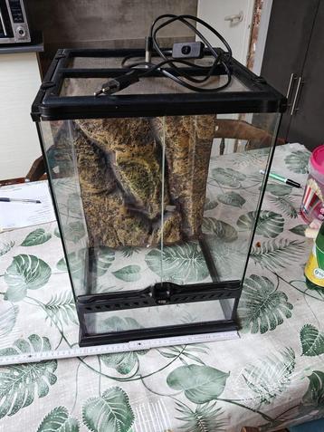 Terrarium beschikbaar voor biedingen