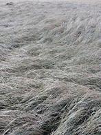 Graszaadhooi regio Middelkerke, Zakelijke goederen, Landbouw | Veevoer, Ophalen of Verzenden