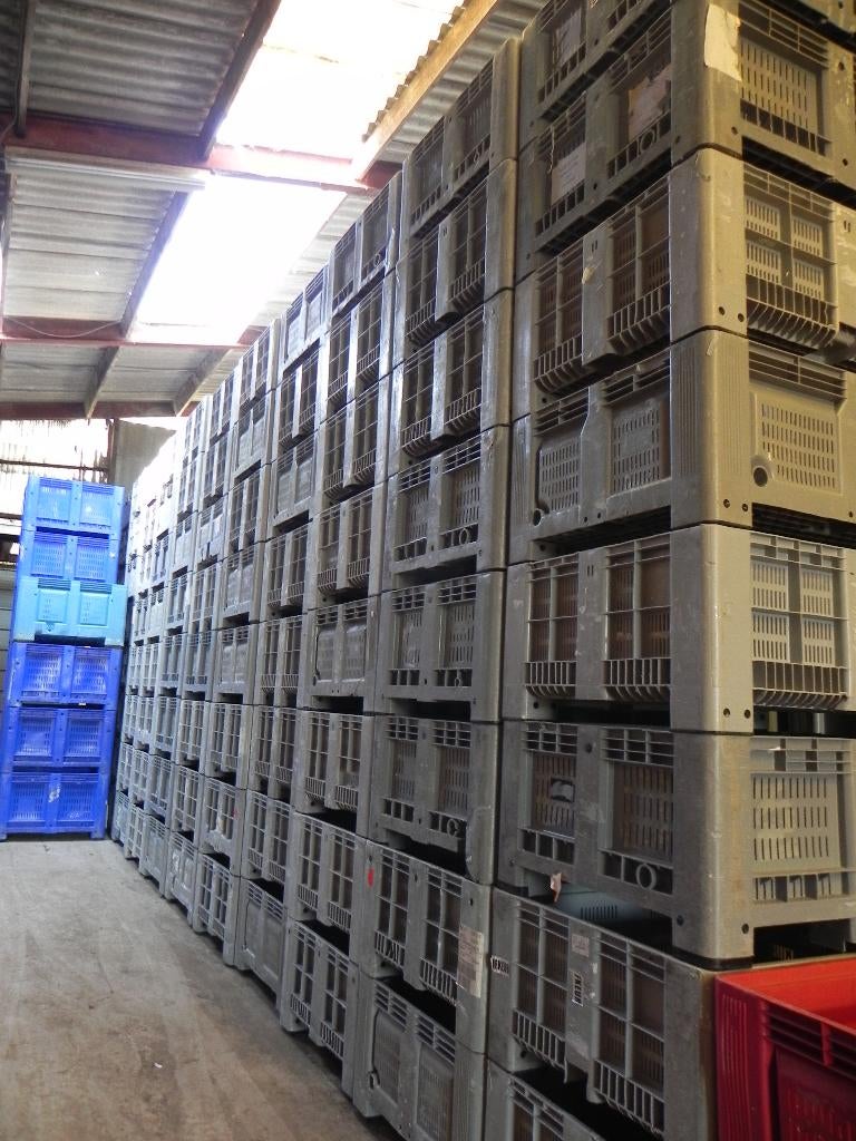 krat Kunststof bakken geperforeerd v.oa. hooi, e.d, Pâturage