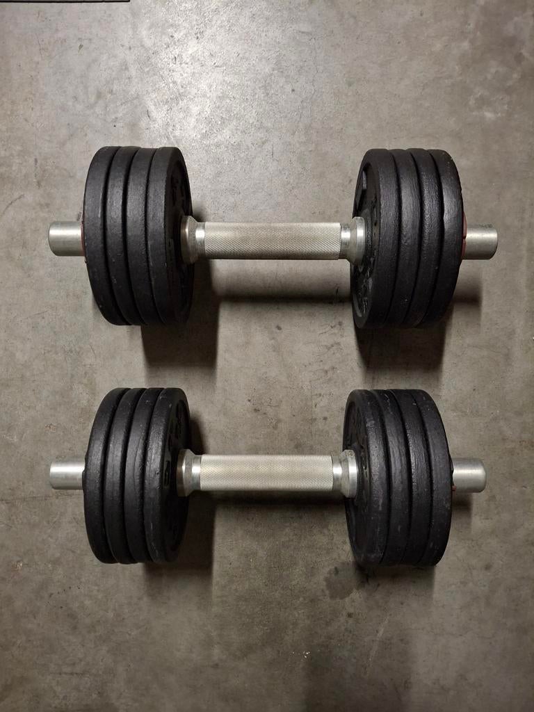 2 halters met gewichten totaal 20kg, Sport en Fitness, Ophalen