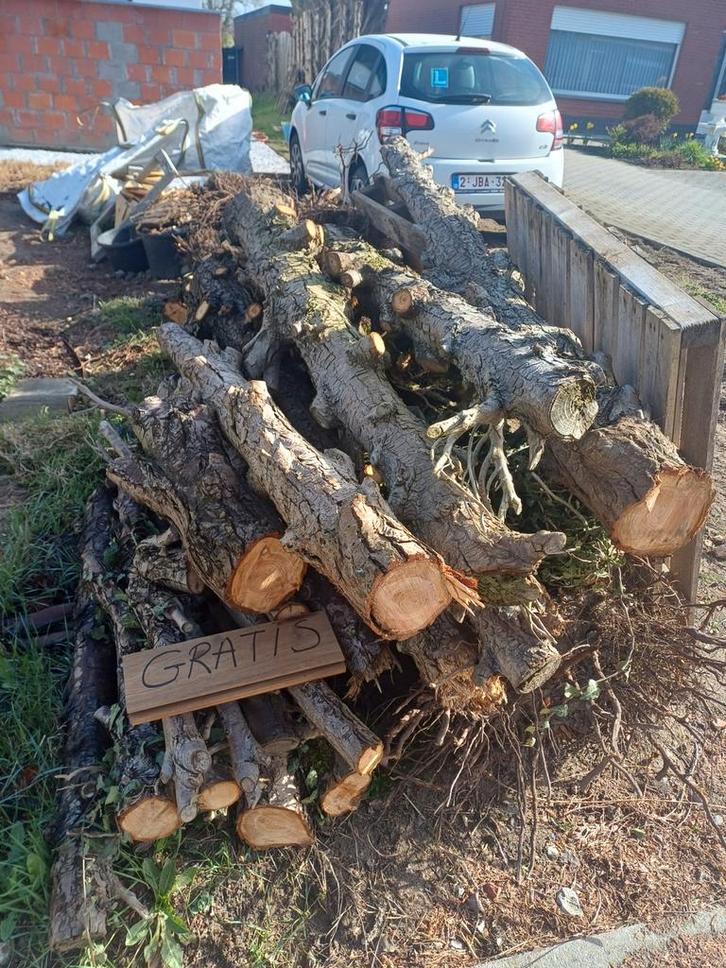Gratis brandhout, Tuin en Terras, Brandhout, Stammen, Ophalen