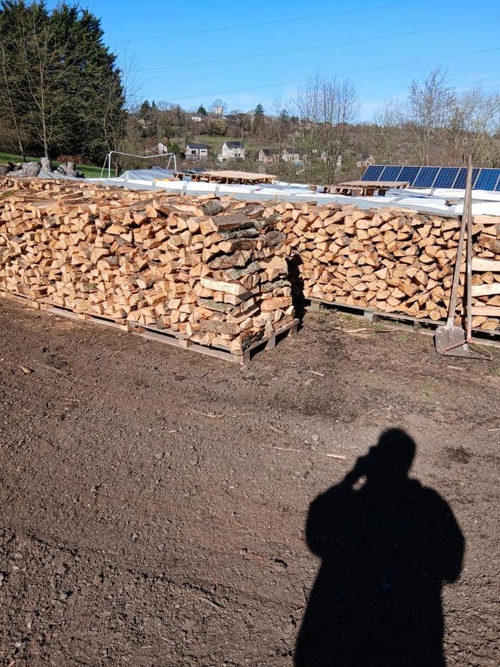 Bois de chauffage chêne et bouleau, Tuin en Terras, Brandhout, Berkenhout