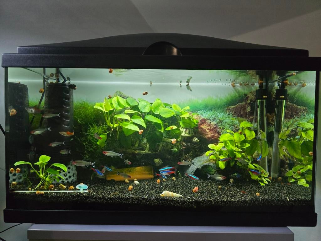 Aquarium 65 Litres, Animaux & Accessoires, Enlèvement ou Envoi