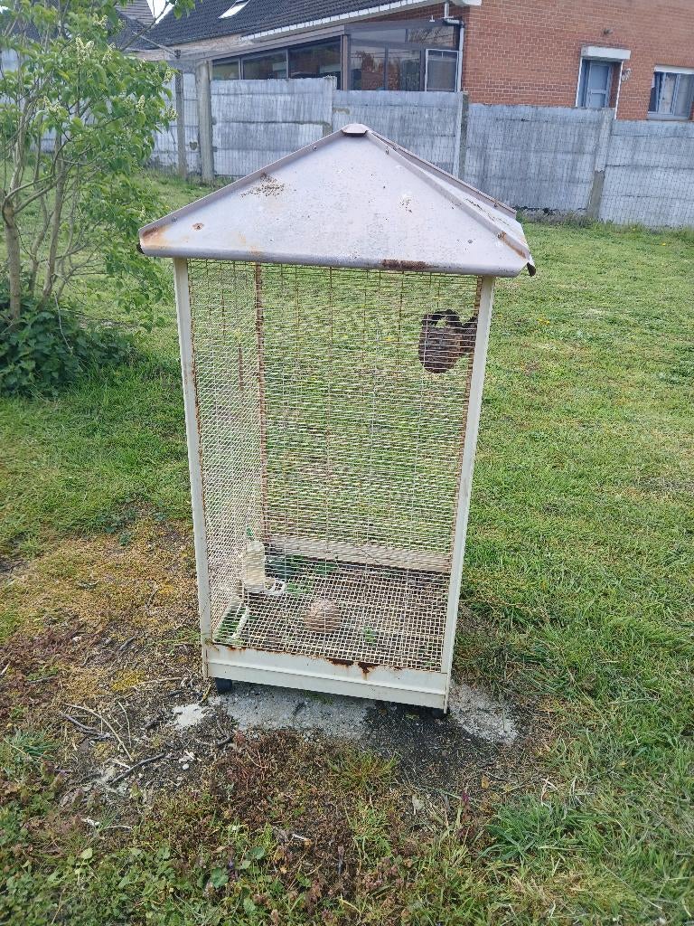 Cage oiseau, Enlèvement, Utilisé, Cage à oiseaux