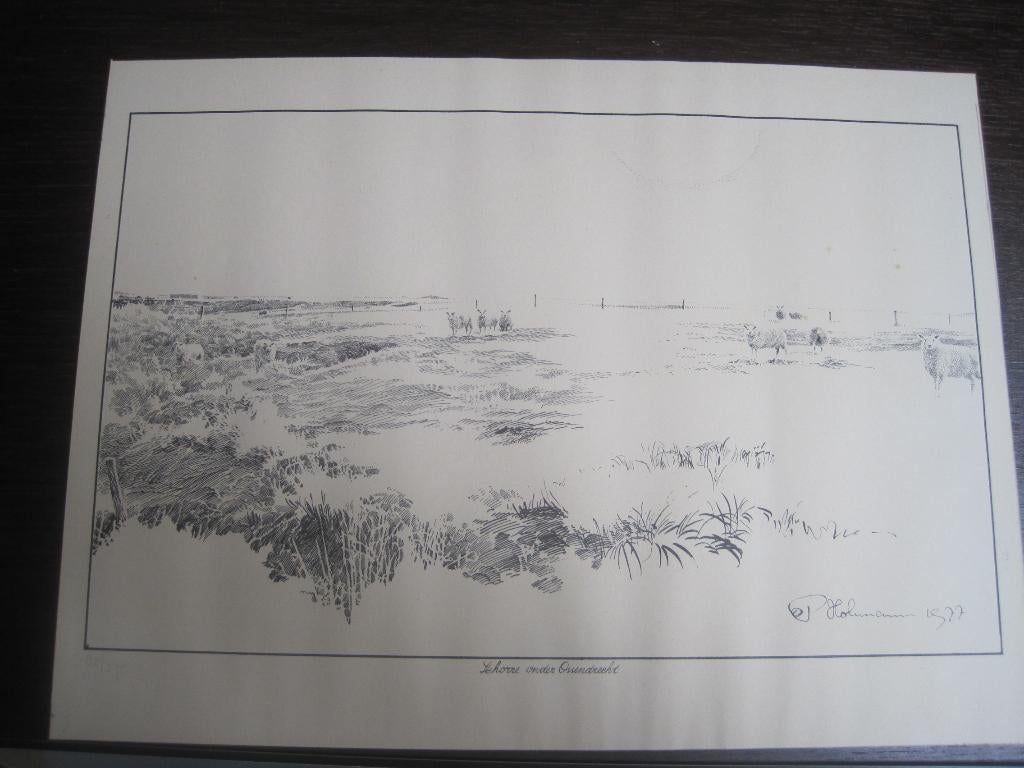 ets Piet Hohmann "Schorre onder Ossendrecht" 1977, Ophalen of Verzenden