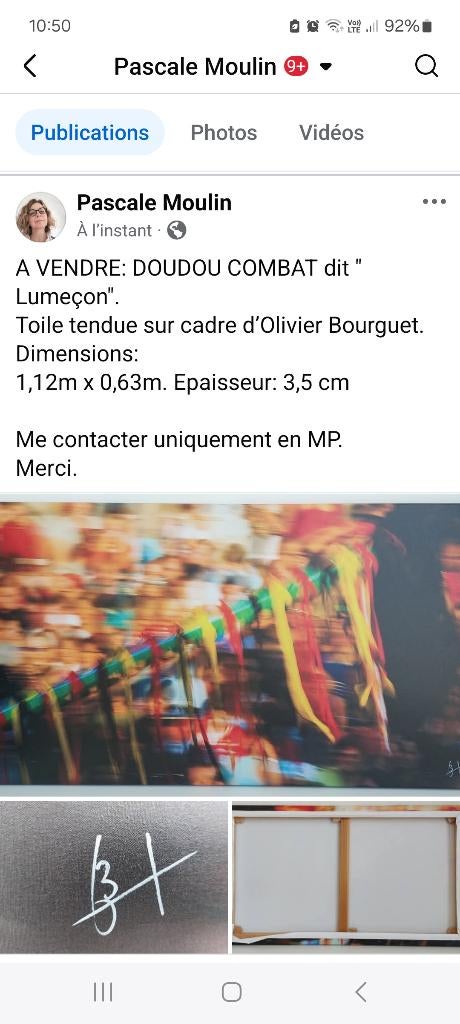 Toile Doudou Mons (combat dit Lumeçon), Neuf, 1980 à nos jours, Photo, Enlèvement