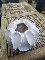 Zeer mooie witte vaas., Ophalen