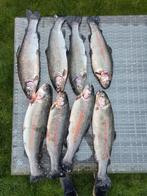 Verse vis vandaag gevangen, Ophalen