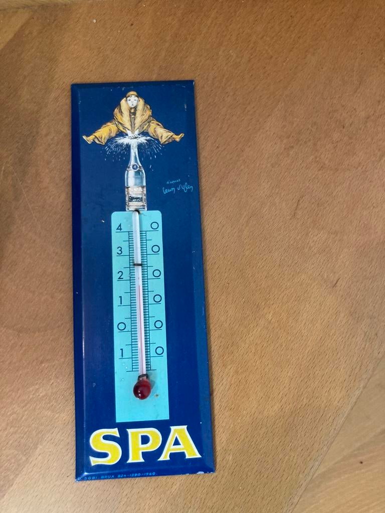 Thermomètre SPA, Enlèvement ou Envoi, Utilisé