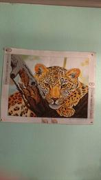 Diamond paintings, Antiek en Kunst, Kunst | Schilderijen | Abstract, Ophalen