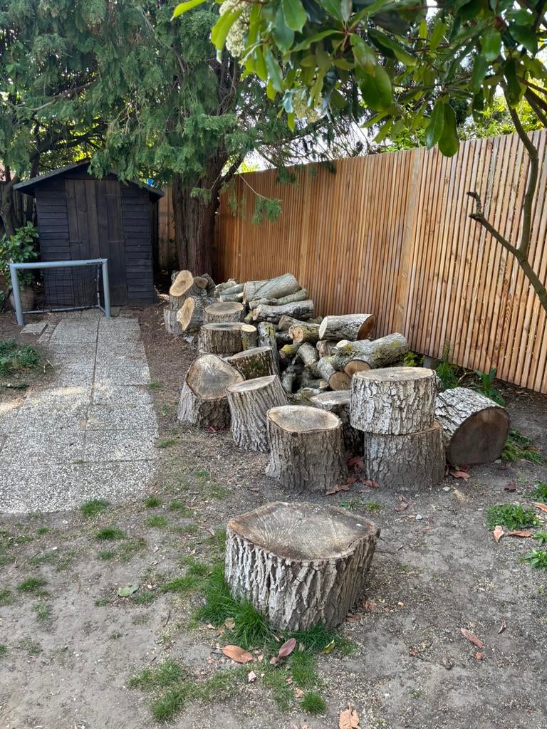 Brandhout eikenboom, Enlèvement, Troncs d'arbres