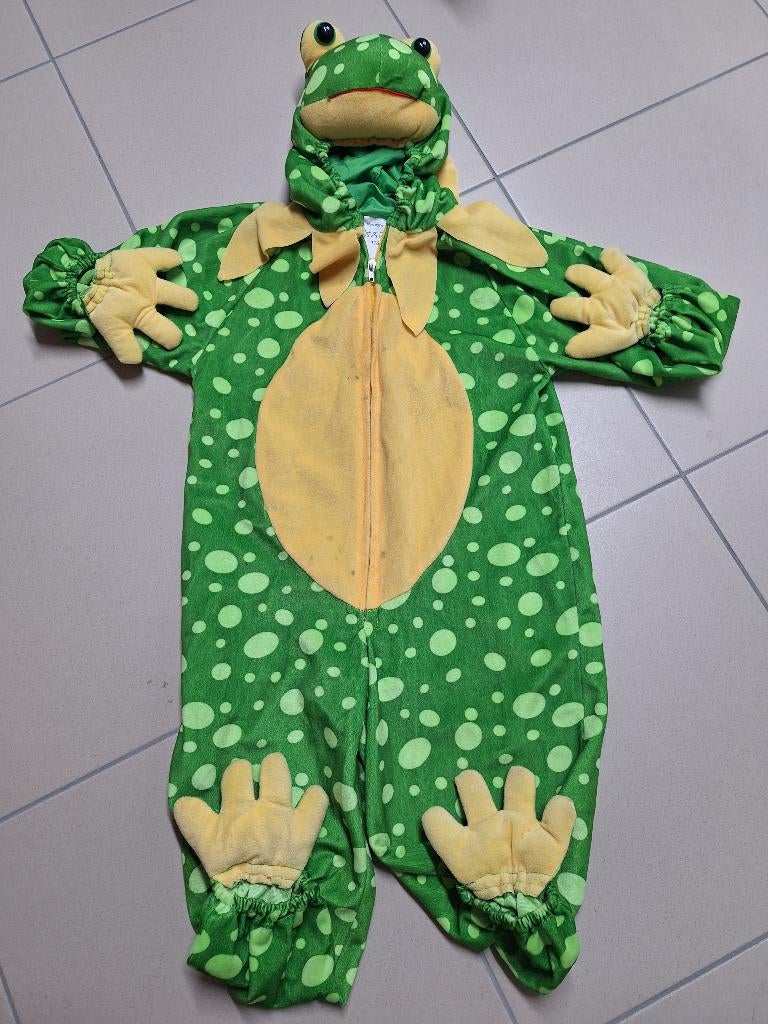 Verkleedkleding Kikker, Ophalen of Verzenden, Gebruikt, 110 t/m 116, Jongen of Meisje