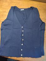 Trui blauw H&M maat L, Kleding | Dames, Ophalen, H&M, Blauw, Maat 42/44 (L)