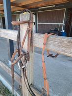 Ponyhoofdstel met teugels, Dieren en Toebehoren, Ophalen of Verzenden