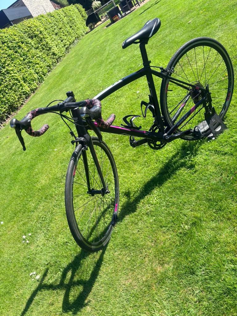 Dames koersfiets Ridley, Ophalen, Gebruikt, Velgrem, Overige merken