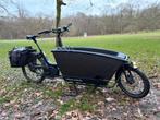 Urban Arrow Family (2020) – vélo cargo, Autres marques, Électrique, Enlèvement, Utilisé