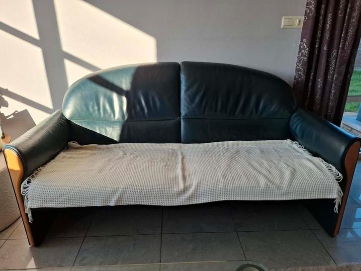 Jori  lederen zitbank kleur groen, Maison & Meubles, Canapés | Salons, 150 à 200 cm, Bois, Cuir, Enlèvement