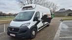 Fiat ducato frigo AUTOMAAT 2.3 180 pk maxi 2020, Automaat, Particulier, Te koop, Fiat
