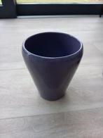 Pot à orchidées, Enlèvement, Autres espèces