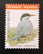 Belgique : COB 4306 ** Oiseaux 2013., Sans timbre, Neuf, Enlèvement ou Envoi, Non oblitéré