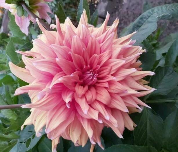 Aangeboden hulp in huishouden/ ervaren poetshulp per direct, Vacatures, Vacatures | Schoonmaak en Facilitaire diensten, Vanaf 10 jaar