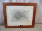 Mooie Oude Ets 'Pompoenen' - 35x29, Antiek en Kunst, Kunst | Etsen en Gravures, Ophalen of Verzenden