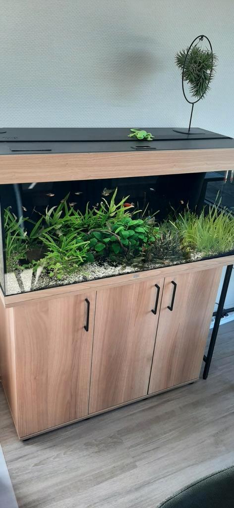 Juwel aquarium met onderstel, kompleet, Dieren en Toebehoren, Vissen | Aquaria en Toebehoren, Zo goed als nieuw, Ophalen