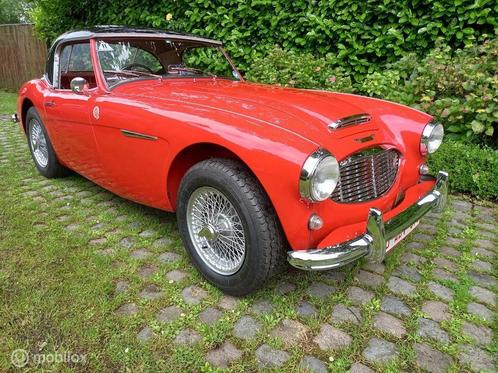 Austin Healey 100/6 BN4 1958 | Route 66 auctions, Auto's, Oldtimers, Bedrijf, Te koop, Open dak, Overige merken, Benzine, Cabriolet
