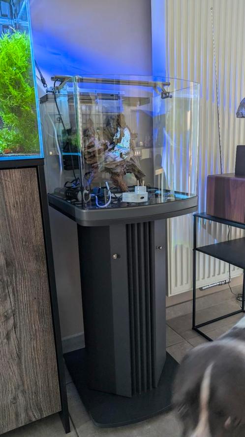 Sera nano cube 60 liters, Dieren en Toebehoren, Vissen | Aquaria en Toebehoren, Gebruikt, Gevuld zoetwateraquarium, Ophalen