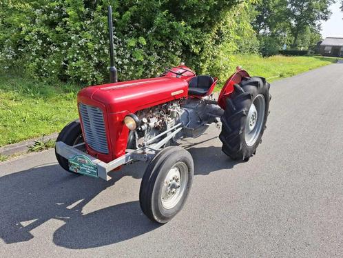 1957 Massey Ferguson 35 Goudbuik Oldtimer tractor, Zakelijke goederen, Landbouw | Tractoren, Massey Ferguson, Oldtimer