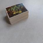 Groot lot prentjes Côte d'Or: uit de reeks Faunaflor II, Ophalen of Verzenden, Zo goed als nieuw