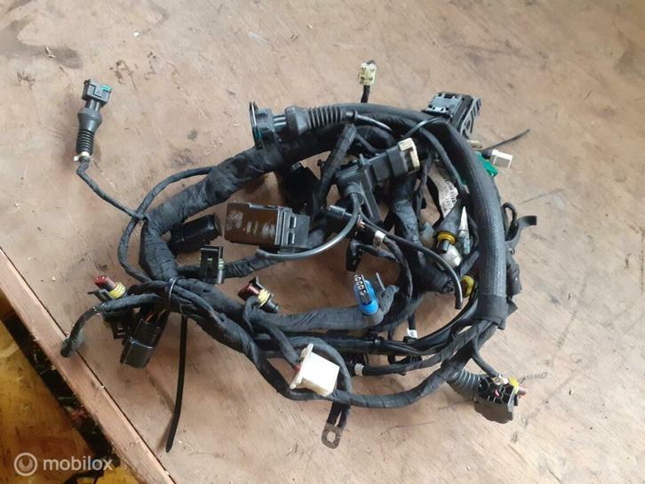 Kabelboom draadboom Monster 1100  51015911B, Motoren, Onderdelen | Ducati, Gebruikt, Ophalen of Verzenden