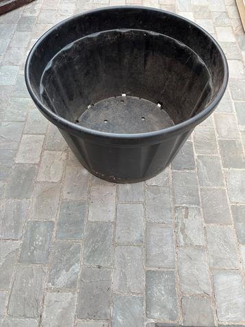Bloempot / plantenbak groot beschikbaar voor biedingen