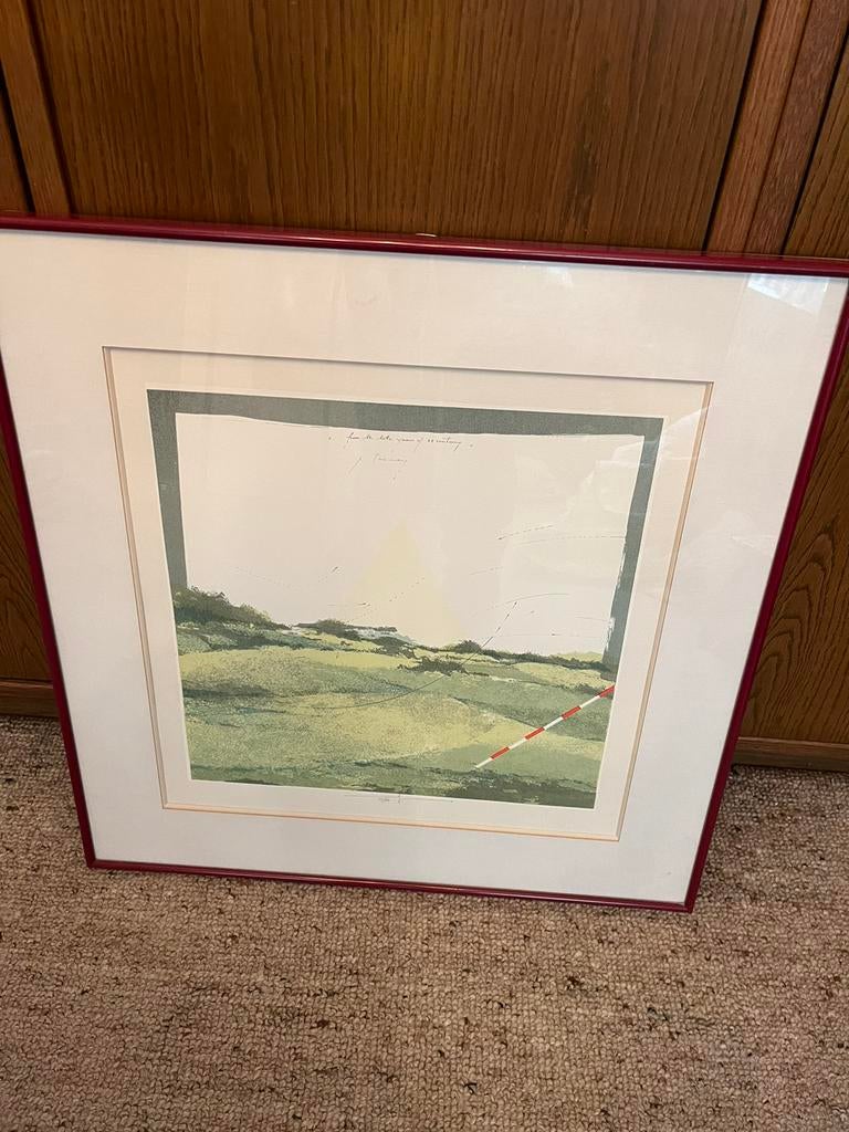 Kader kunst Martin Baeyens, Antiquités & Art, Art | Lithographies & Sérigraphies, Enlèvement