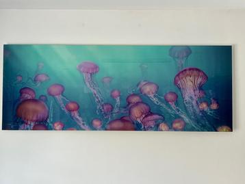 Tableau - Photographie murale vitrée 120 cm X 60 cm beschikbaar voor biedingen