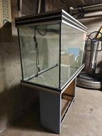 Aquarium, Dieren en Toebehoren, Ophalen, Zo goed als nieuw, Leeg aquarium