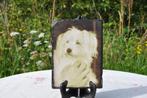 ardoise decorative avec photo de chien, Utilisé, Enlèvement ou Envoi