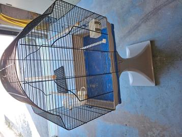 Cage à oiseaux  beschikbaar voor biedingen