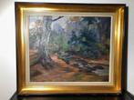 HST - Joseph VERHAEGHE ( 1900-1987) - sous bois , signé -193, Antiek en Kunst, Ophalen