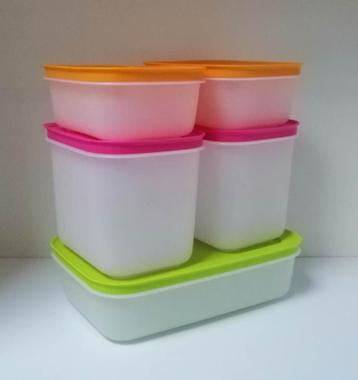 Tupperware™« Set 5 boites Surgélation - Igloo », Envoi, Neuf, Vert, Boîte