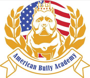 Thuis gezocht voor American Bullies  beschikbaar voor biedingen