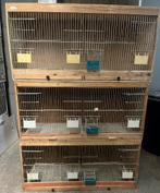 Kweekkooi, Ophalen, Gebruikt, Hout, Broedkooi of Kweekkooi