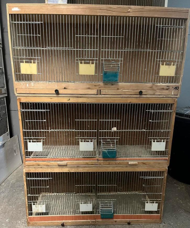 Kweekkooi, Dieren en Toebehoren, Vogels | Hokken en Kooien, Gebruikt, Broedkooi of Kweekkooi, Hout, Ophalen