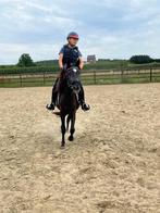 Beloftevolle jonge C pony, Ophalen, Zo goed als nieuw