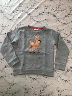 Grijze sweater Someone maat 116, Meisje, Trui of Vest, Ophalen of Verzenden, Zo goed als nieuw